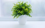 Green artificial interior plant in white pot on white
