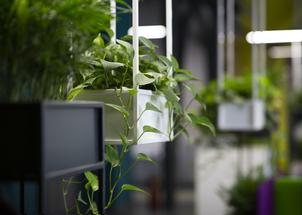 The Pros Of Using Artificial Plants To Add Life To Your Room